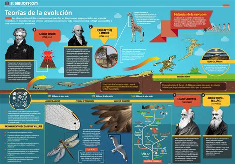 Nuevos avances sobre el Origen y la Evolución de los primeros equinod.